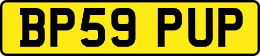 BP59PUP