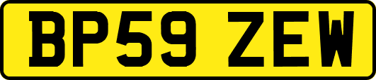 BP59ZEW