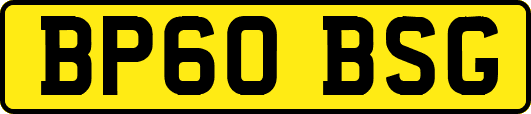 BP60BSG