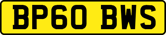 BP60BWS