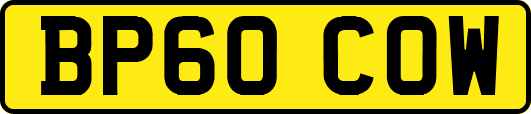 BP60COW