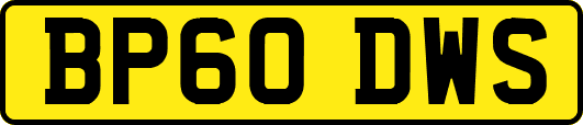 BP60DWS