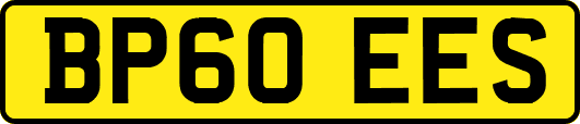 BP60EES