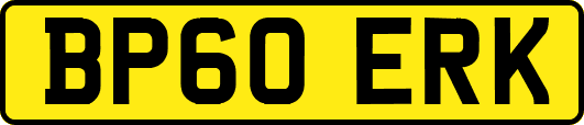 BP60ERK