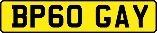 BP60GAY