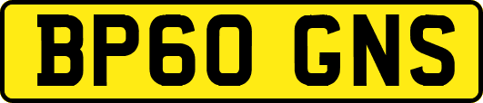 BP60GNS