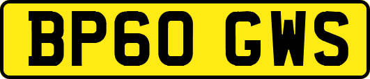 BP60GWS