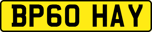 BP60HAY