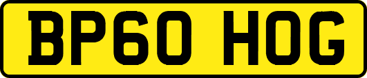 BP60HOG