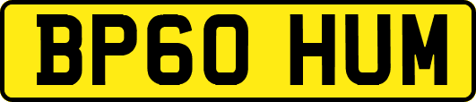 BP60HUM