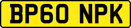 BP60NPK