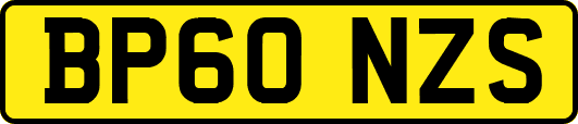 BP60NZS