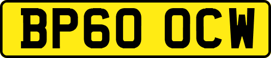 BP60OCW