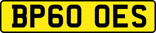 BP60OES