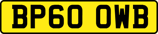 BP60OWB