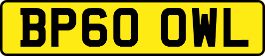 BP60OWL