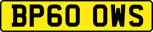 BP60OWS