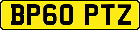 BP60PTZ