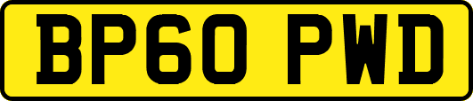 BP60PWD