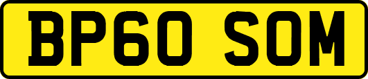 BP60SOM