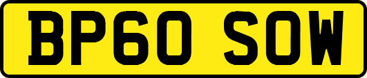 BP60SOW