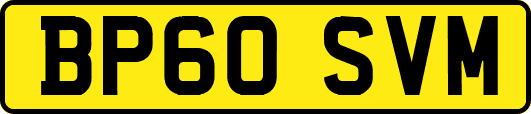 BP60SVM