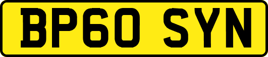 BP60SYN