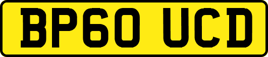 BP60UCD