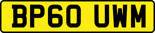 BP60UWM
