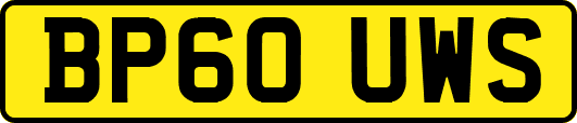BP60UWS