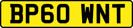 BP60WNT