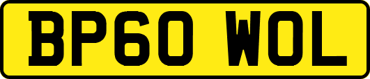 BP60WOL