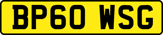 BP60WSG