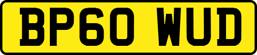 BP60WUD