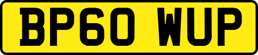 BP60WUP