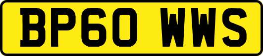BP60WWS