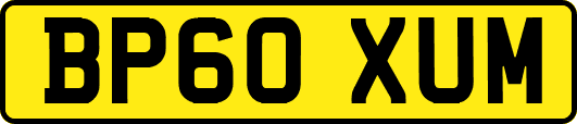BP60XUM