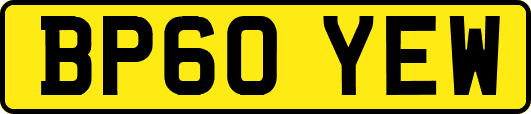 BP60YEW