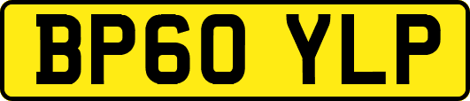 BP60YLP