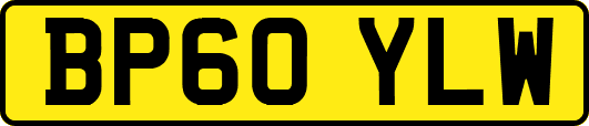 BP60YLW