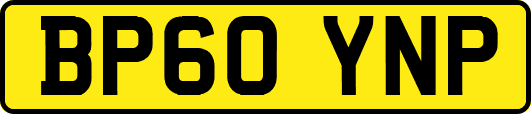 BP60YNP