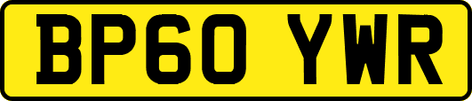 BP60YWR