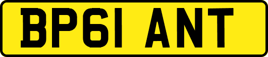 BP61ANT