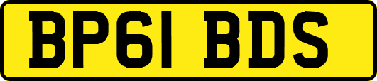 BP61BDS