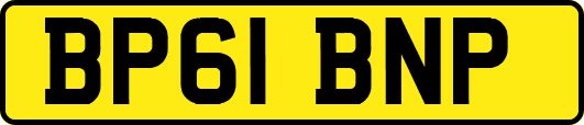 BP61BNP