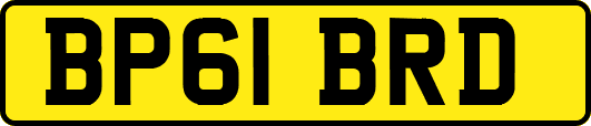 BP61BRD
