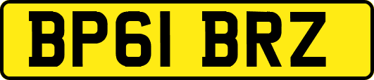 BP61BRZ