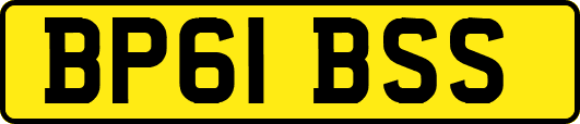 BP61BSS