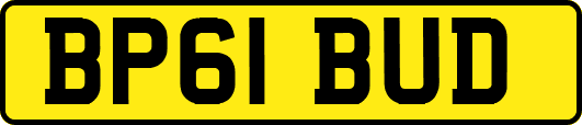 BP61BUD