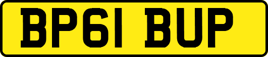 BP61BUP